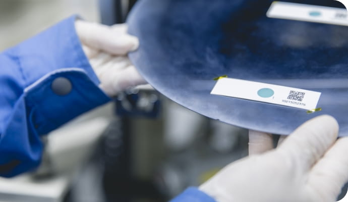 評価の頻度や使用枚数が多くなった